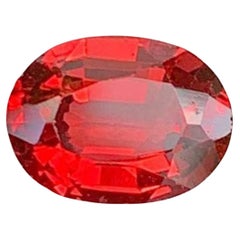 Gemma di granato rosso: Pietra di gennaio dal taglio ovale, 1.43 carati