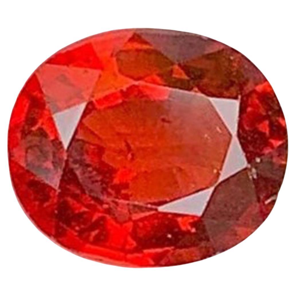 Roter Granat Edelstein: Ovalschliff Januar Geburtsstein, 1.43 Karat