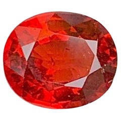 Gemma di granato rosso: Pietra di gennaio dal taglio ovale, 1.43 carati