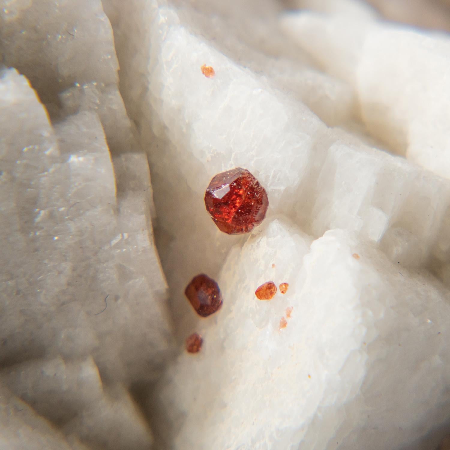 From Tongbei-Yunling District, Fujian Province, China Cluster of transparent lustrous deep red spessartine garnet cluster on microline matrix with bladed muscovite crystals. These beautiful minerals can provide a stunning display piece, as well as a