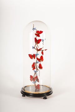 "Red Glitters" by Hasharat: 19th-C Glass Dome w/ Contemporary Butterfly Display