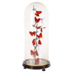 "Brillos rojos" de Hasharat: Cúpula de cristal del siglo XIX con expositor contemporáneo de mariposas