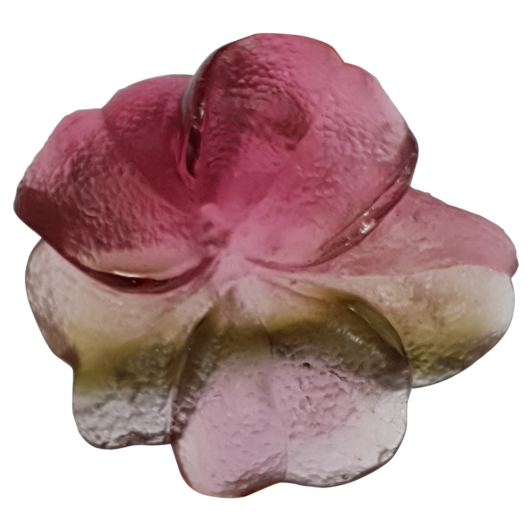 Fiore di tormalina bicolore rosso-verde