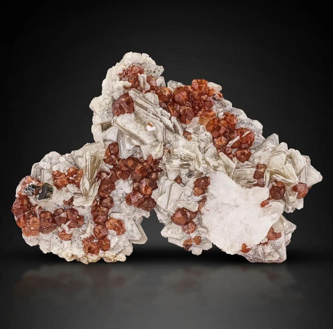 Coloniale americano Red Hassonite Garnet Crystals On Muscovite With Schorl From Pakistan in vendita