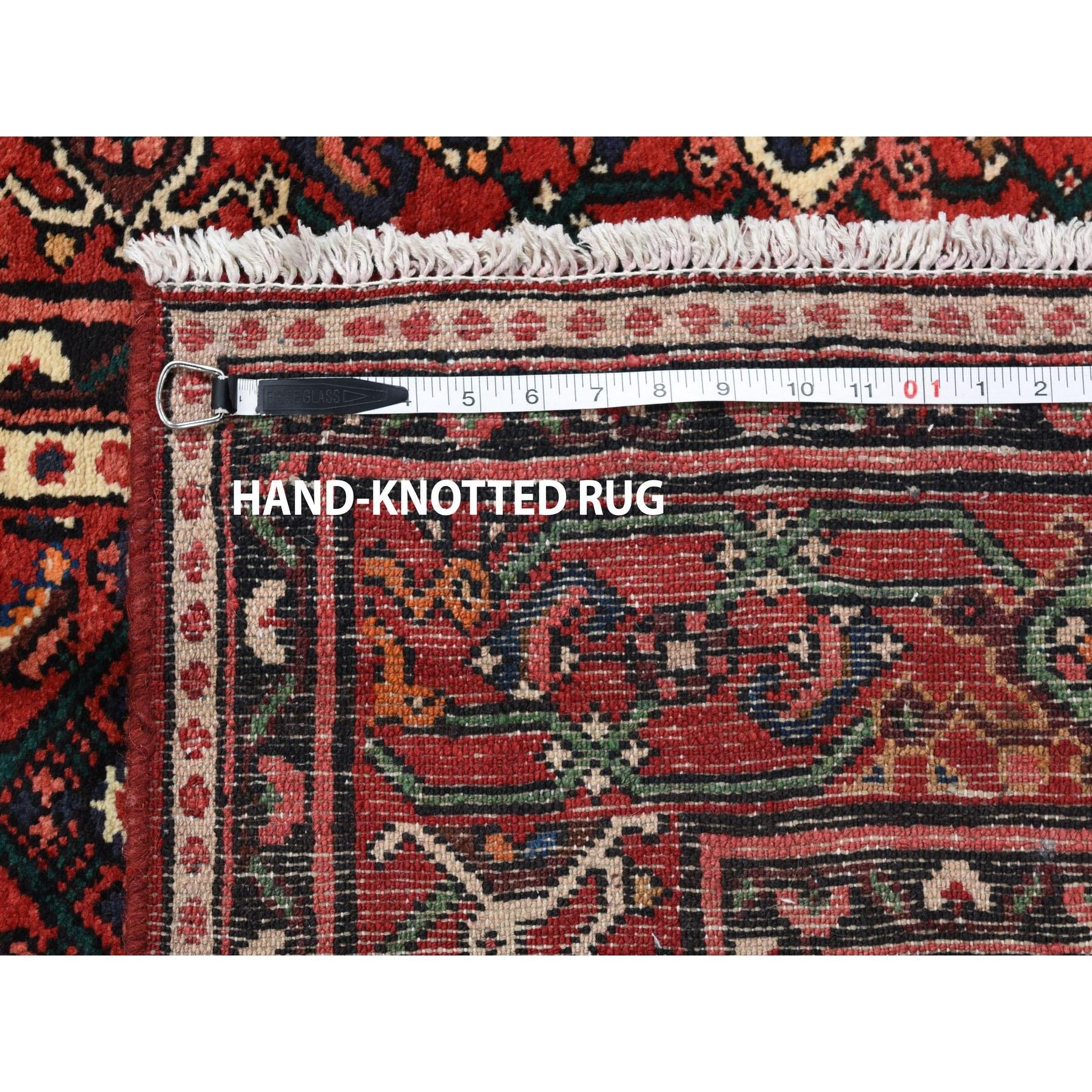 Red Persian Hamadan Pure Wool Hand Knotted Oriental Rug, 6'9