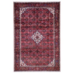 Red Persian Hamadan Pure Wool Hand Knotted Oriental Rug, 6'9" x 10'3"
