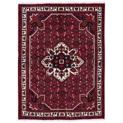 Red Persian Hamadan Pure Wool Hand Knotted Oriental Rug