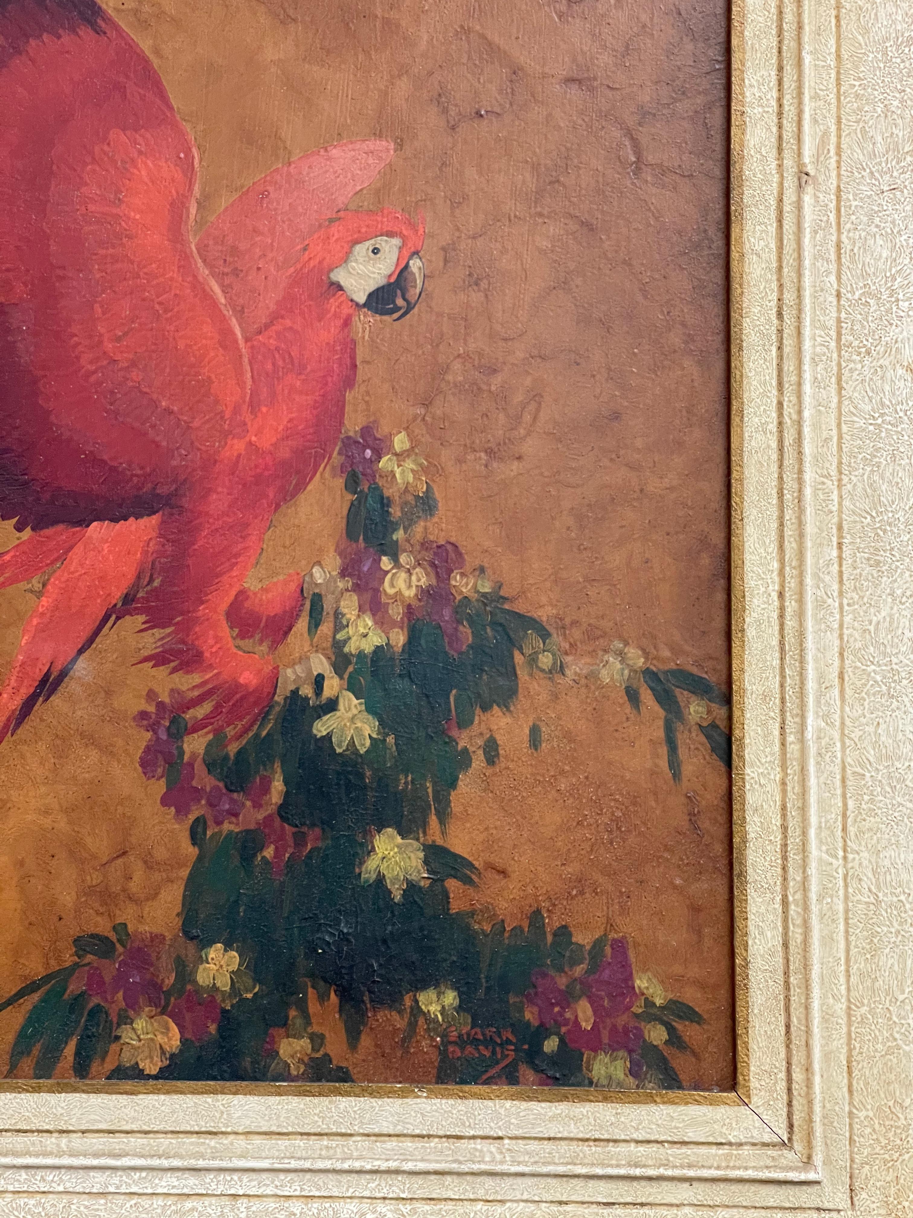 Early 20th century oil on board by Stark Davis (American, 1885-1950) red parrot, oil on board, signed lower right, titled verso.