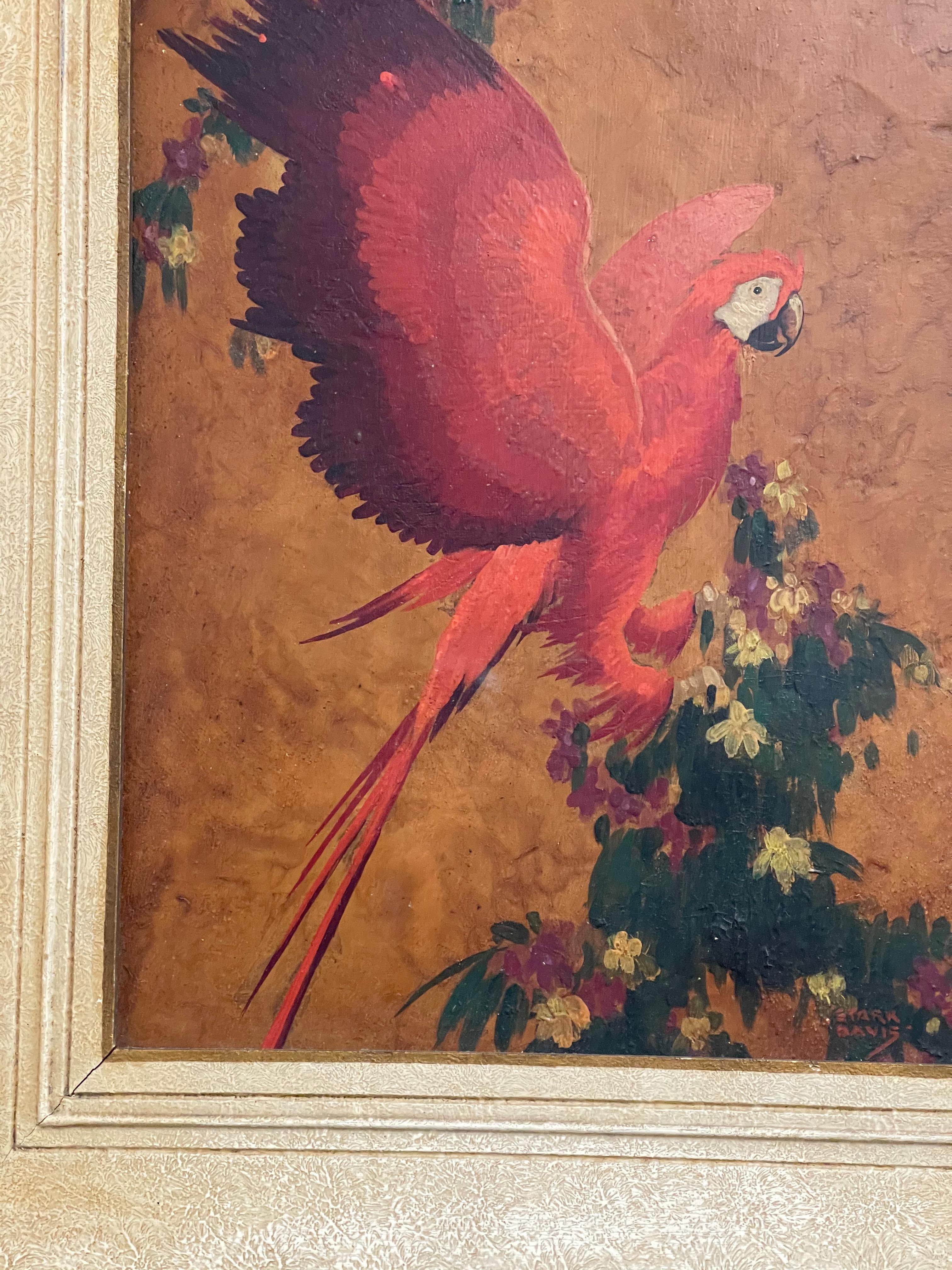 20th Century Red Parrot, Oil on Board, Stark Davis