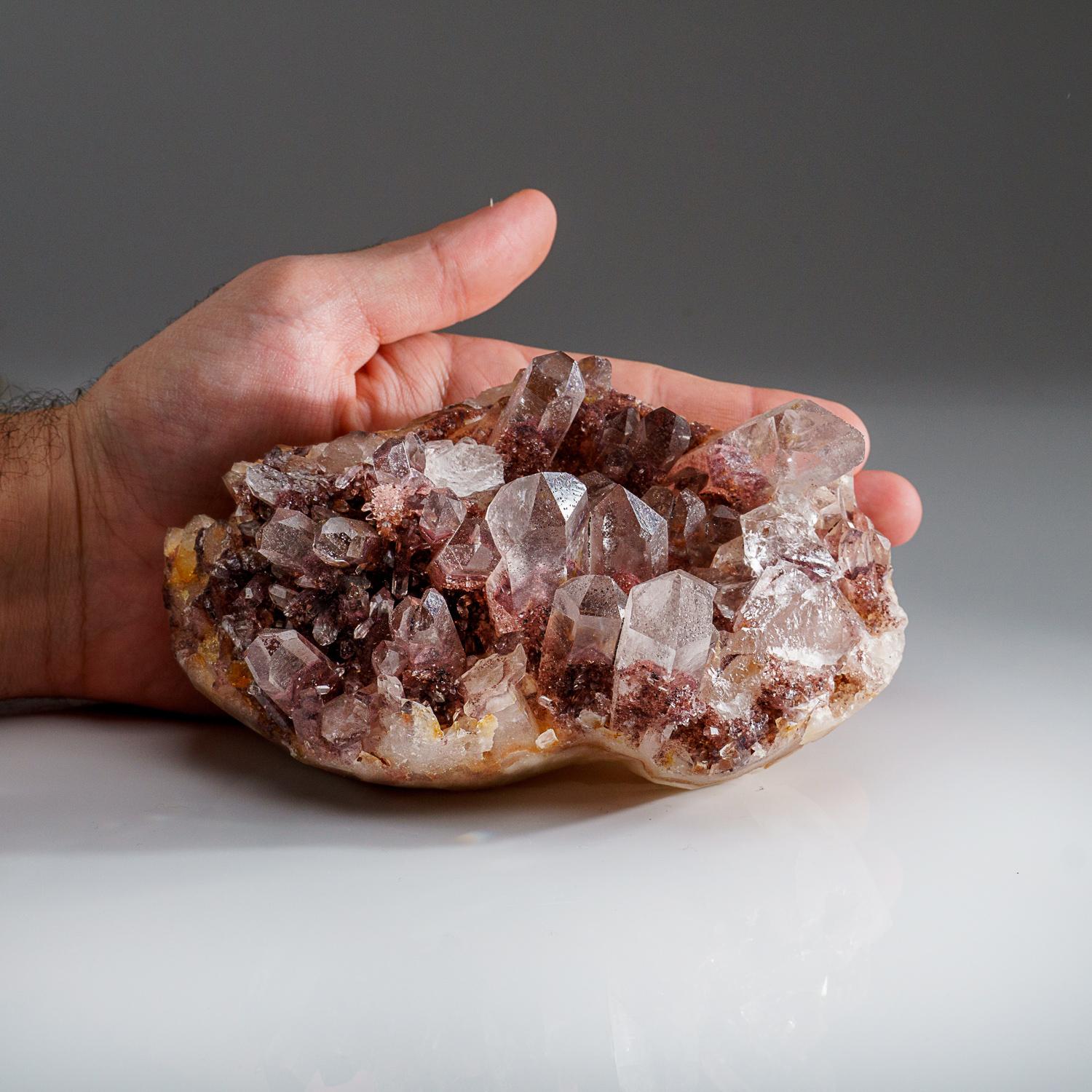 From Tekhdi, Madhya Pradesh, India

Lustrous transparent purple parallel Quartz Var. crystals with red hematite encrusted phantoms inside water clear, perfectly terminated quartz points. Brand new find, discovered 2022.



Weight: 2.7 lbs,