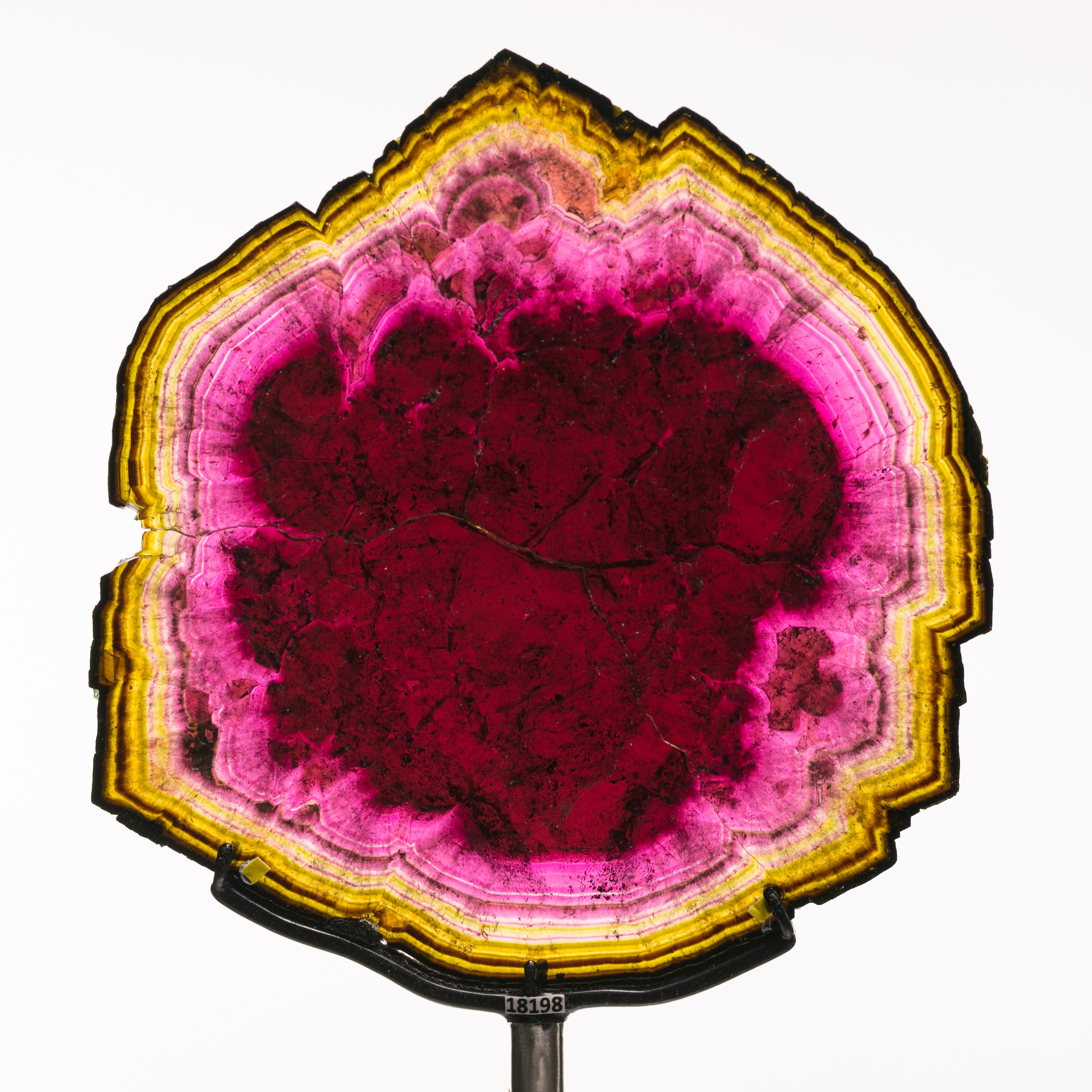 Tourmaline is celebrated not only for its vitreous beauty, but also for its unparalleled spectrum of colors and color combinations, earning its place among the most vibrant gemstones on Earth. What sets tourmaline apart is its ability to display