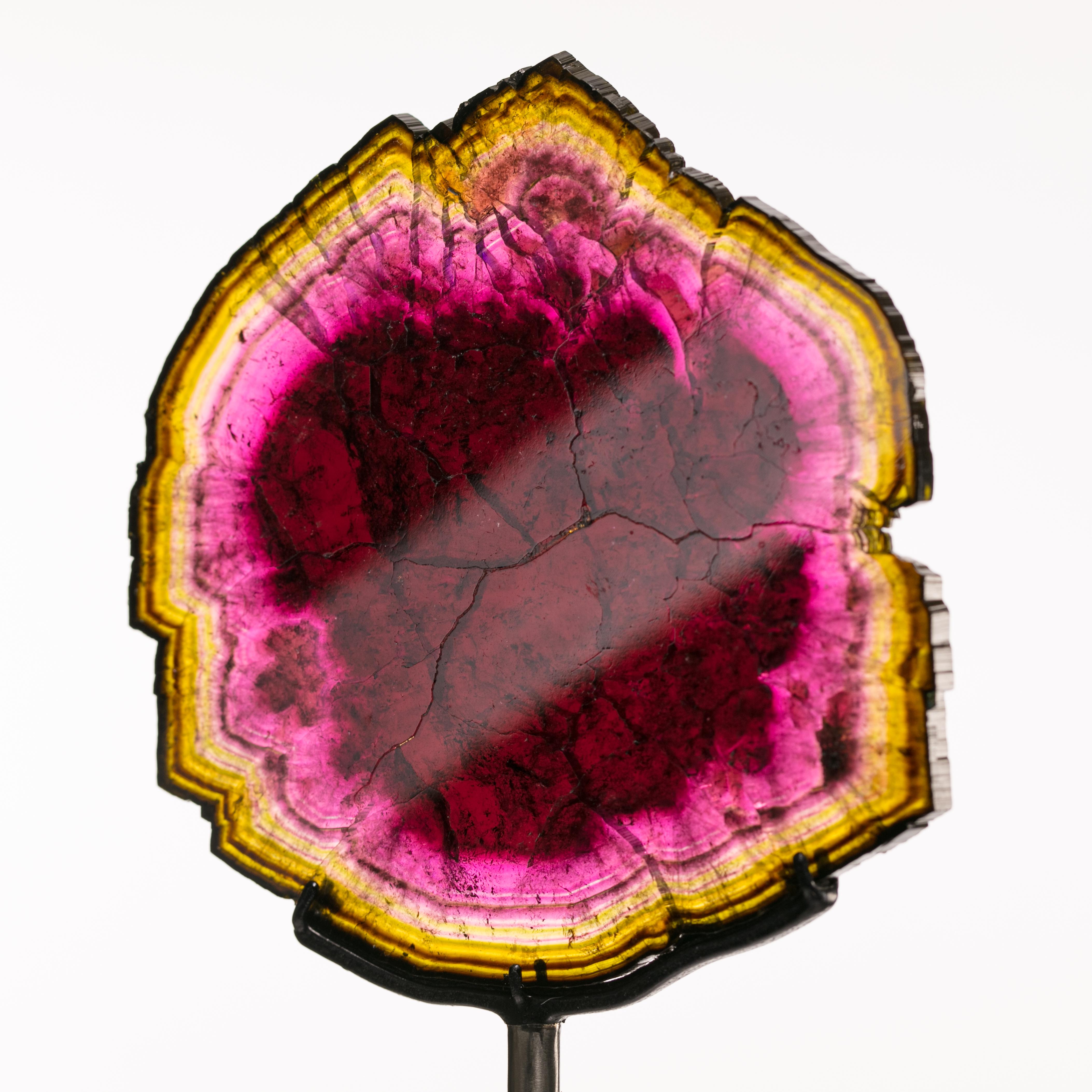 Red, Pink, & Green Watermelon Tourmaline Slice—  Anjanabonoina, Madagascar In Good Condition For Sale In Edison, NJ