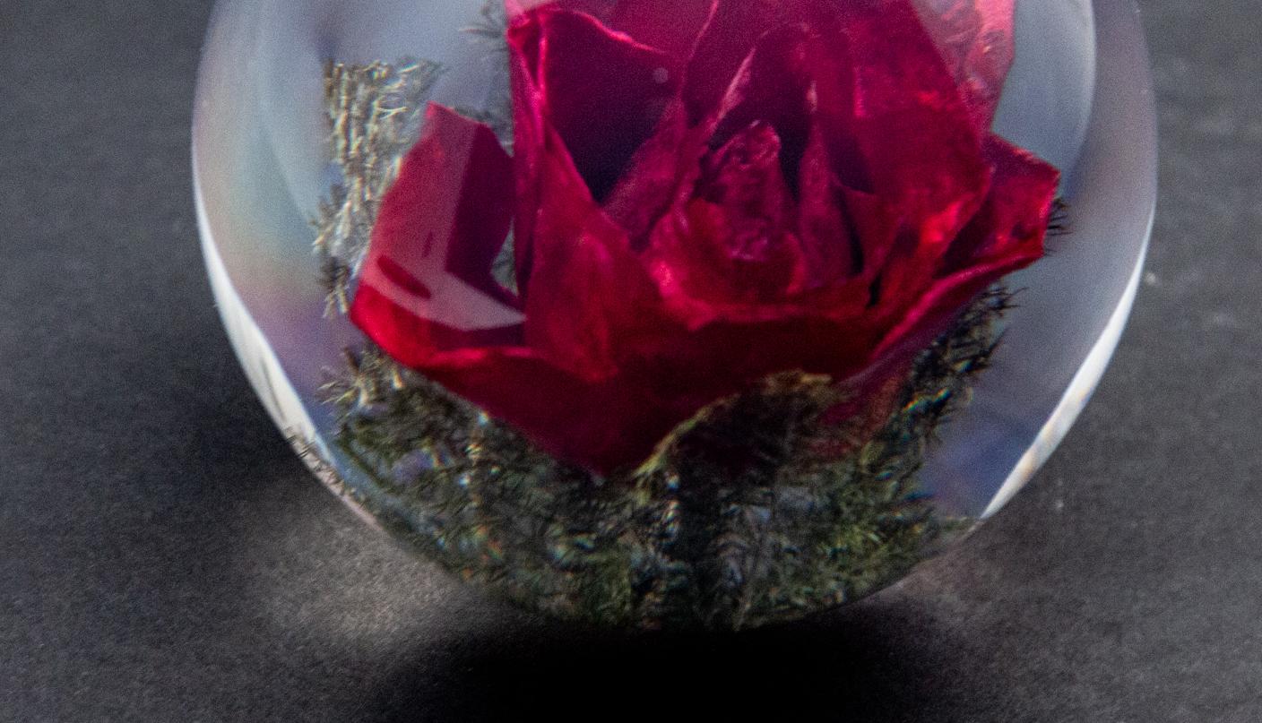 Contemporary Red Rose Paperweight For Sale