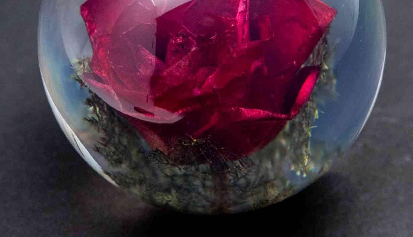 Resin Red Rose Paperweight For Sale