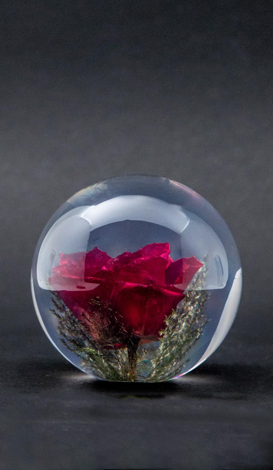 Red Rose Paperweight For Sale 1