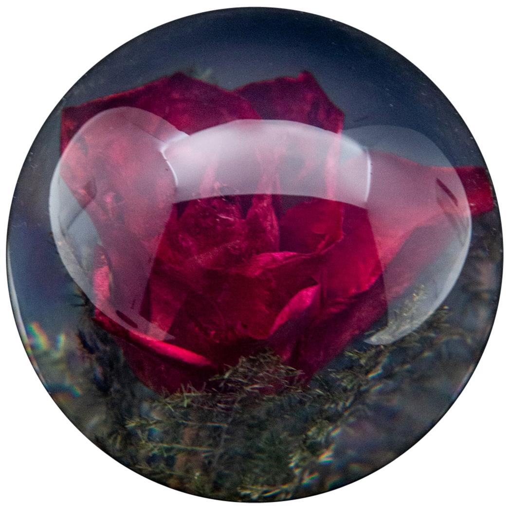 Red Rose Paperweight For Sale
