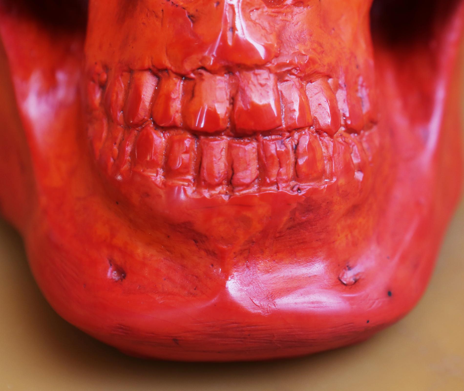 Sculpture de crâne rouge en pâte de verre noirci en vente 4