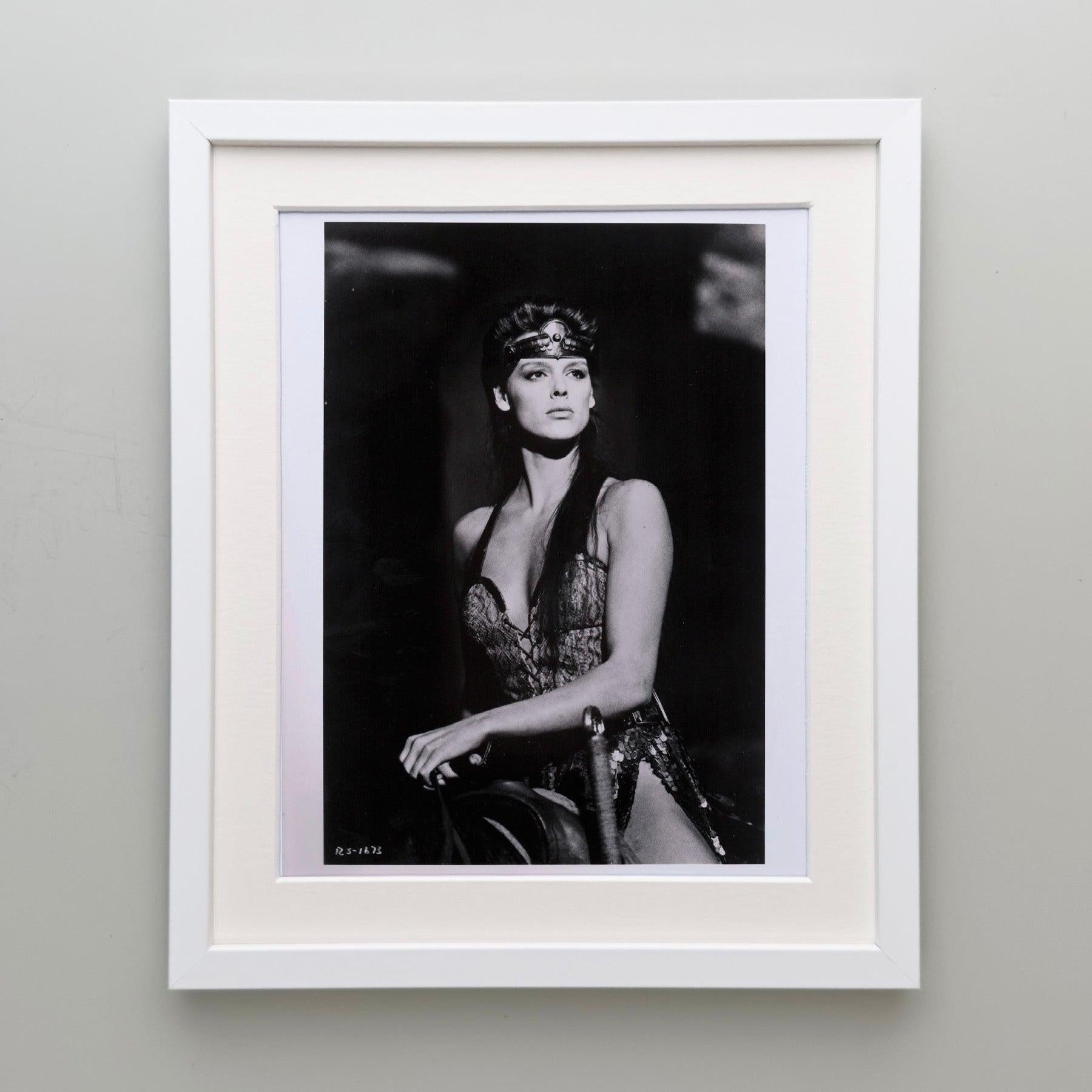 Red Sonja 1985 Publicity Film Movie Press Still Framed Excellent état - En vente à Bath, Somerset