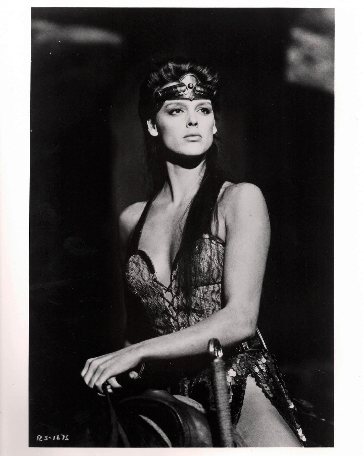 Papier Red Sonja 1985 Publicity Film Movie Press Still Framed en vente
