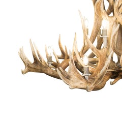 Red Stag Antler Chandelier