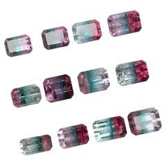 Lotto di pietre preziose di tormalina tricolore (rosso, verde acqua, blu, lavanda, rosa) per collezione