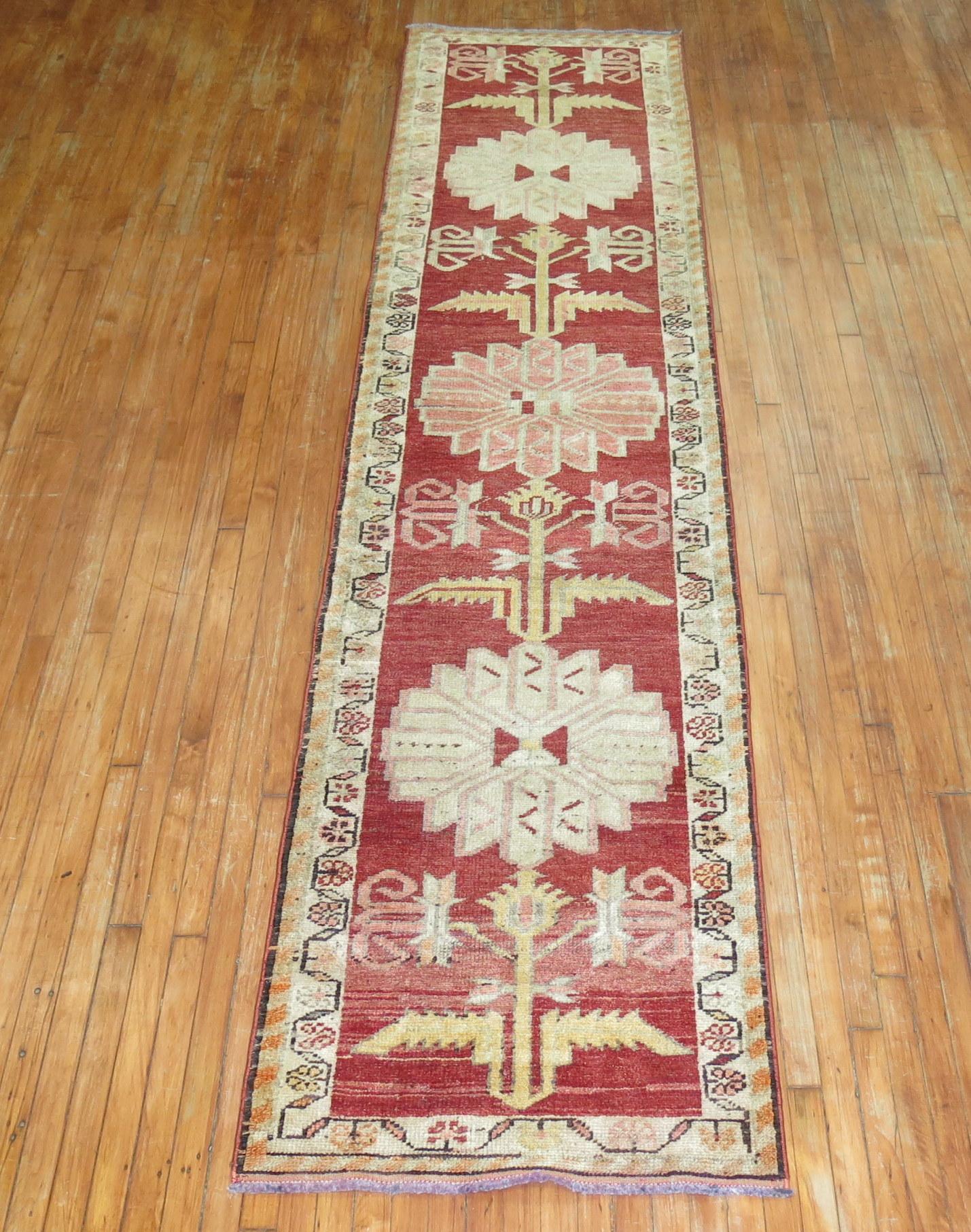 A Turkish anatolian runner from the middle of the 20th century. 

Measures: 2'10” x 12'4”.
