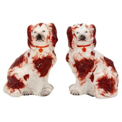 Red & White Staffordshire Dogs