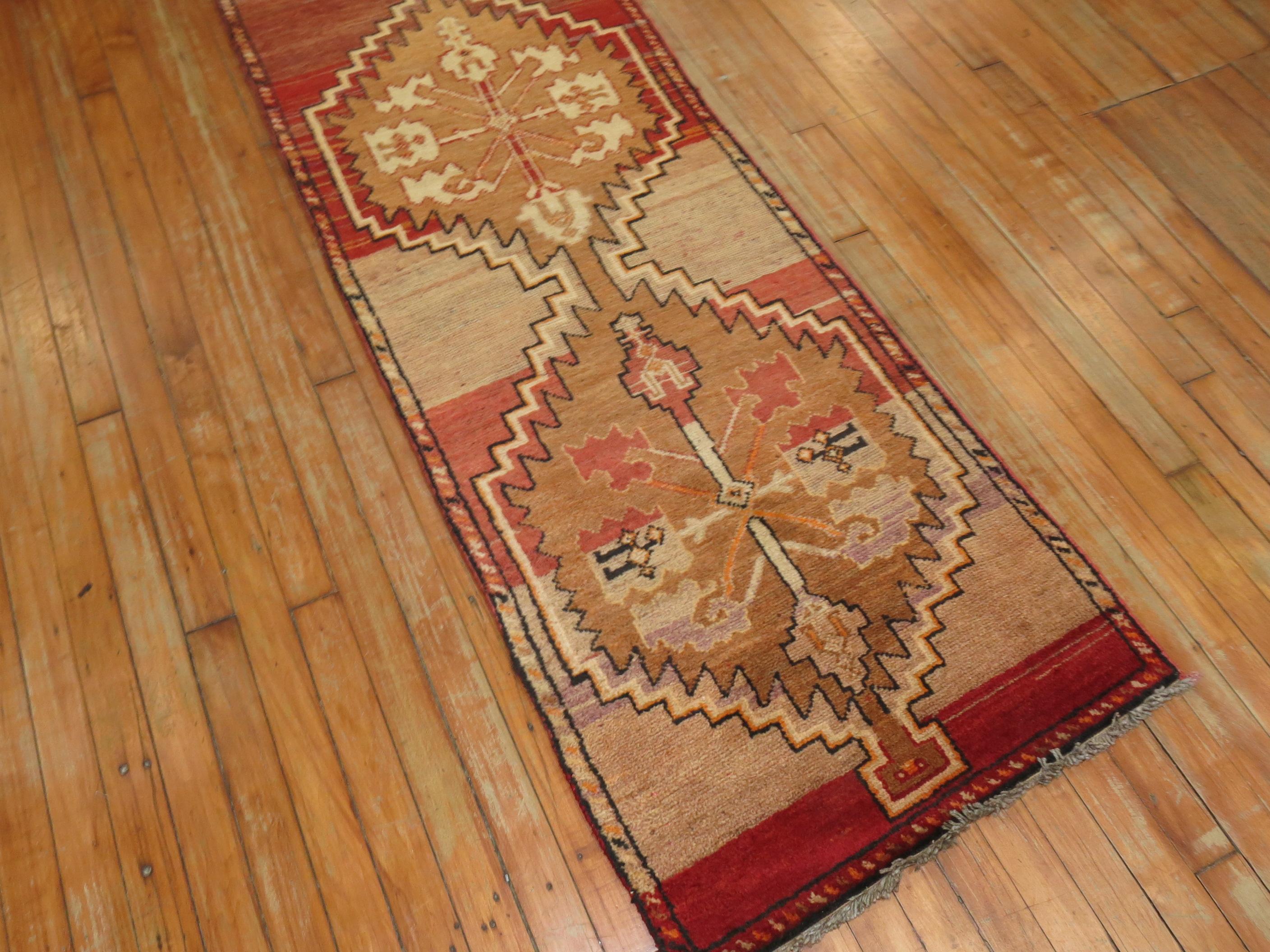 Narrow Turkish Anatolian runner in the red-brown color family.
