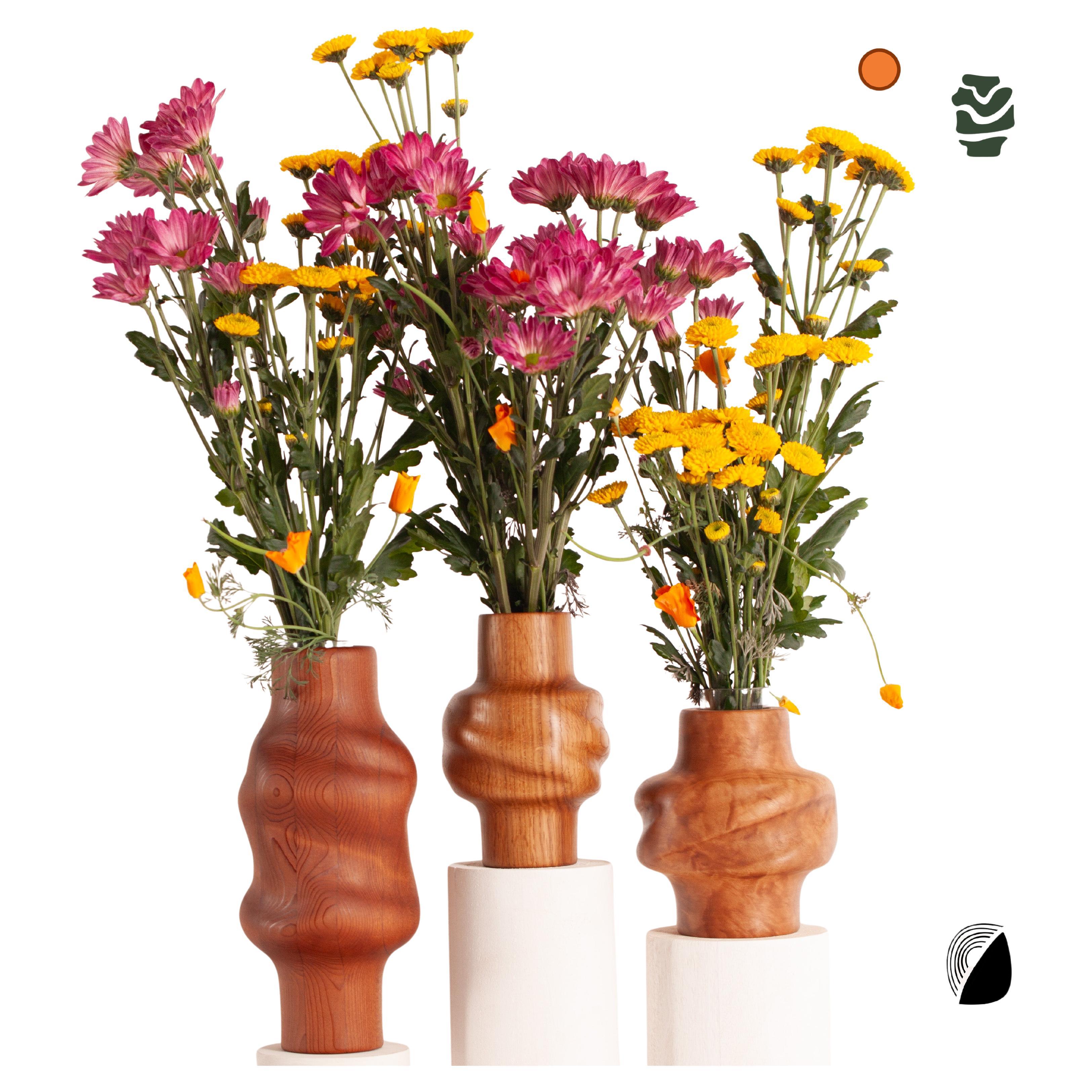 Redwood Svitok Vase aus wiederverwendetem Holz (21. Jahrhundert und zeitgenössisch) im Angebot