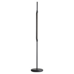 Reed Table Light / Small in Anthracite Powdercoat by Tom Kirk