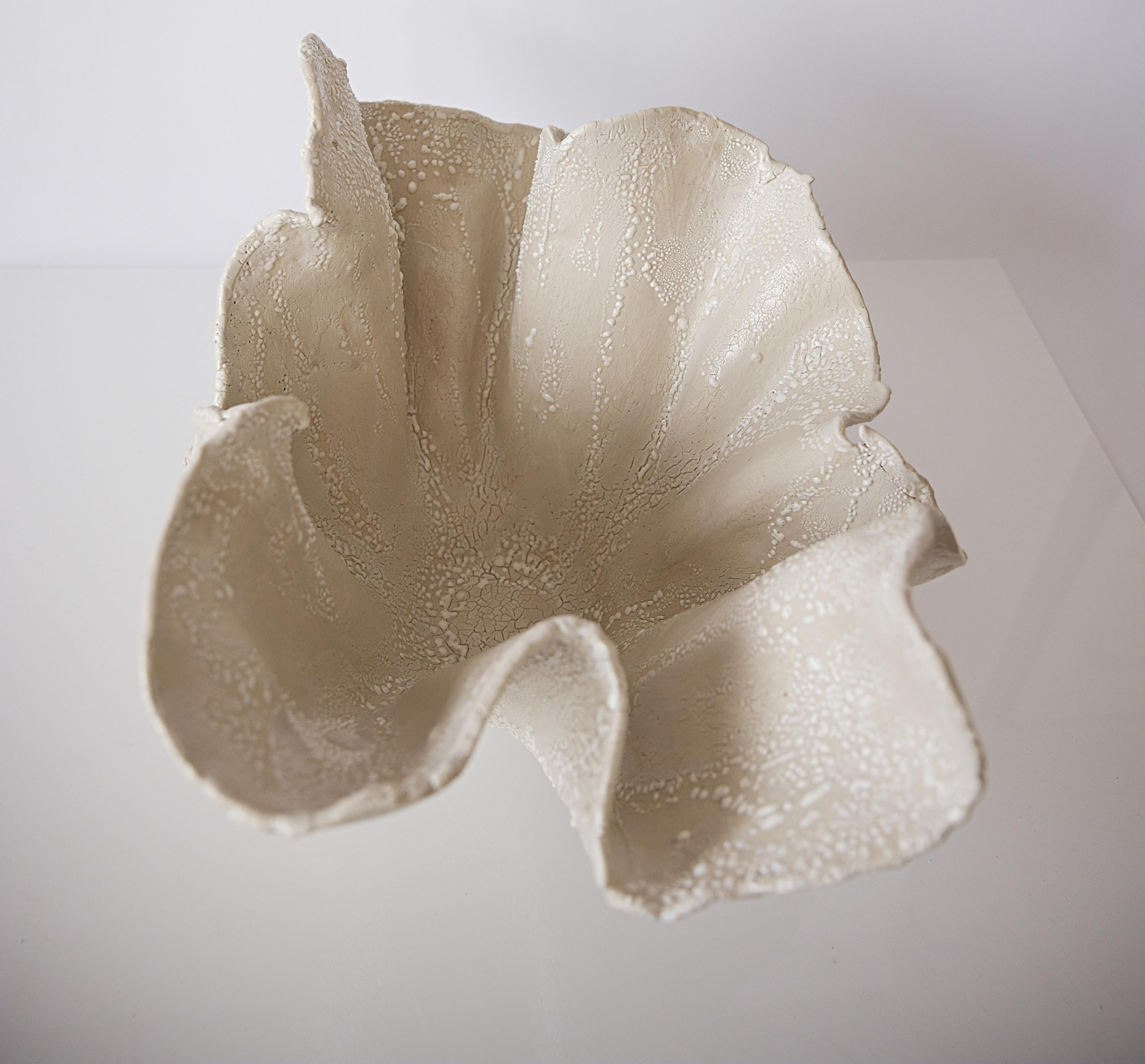 Reef Sculpted Bowl in Cream For Sale 5