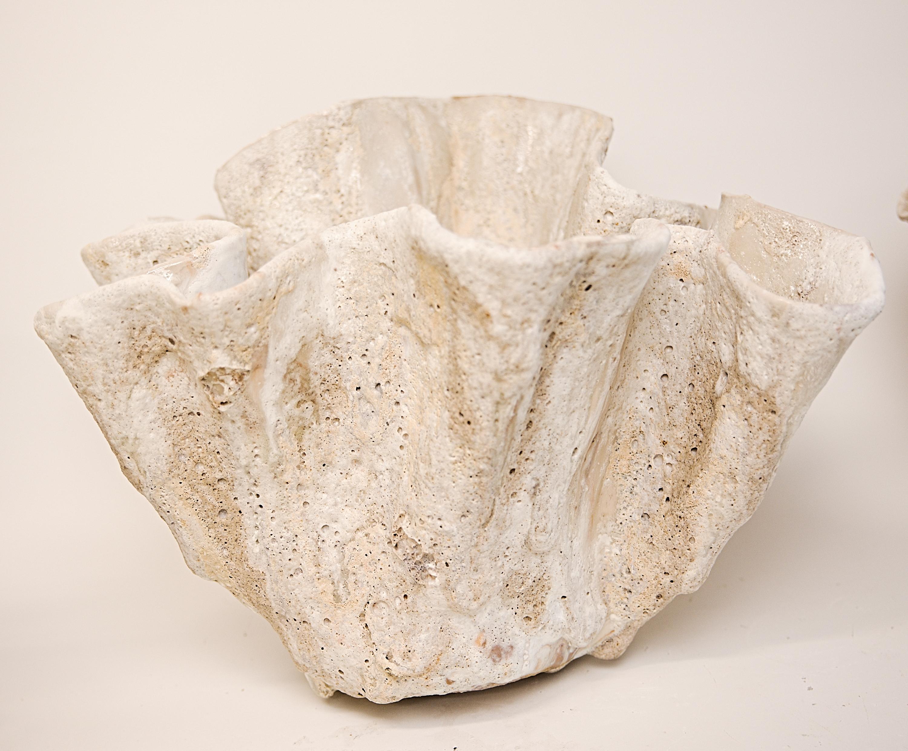 Reef Sculpted Ceramic Bowl free style in White II For Sale 2