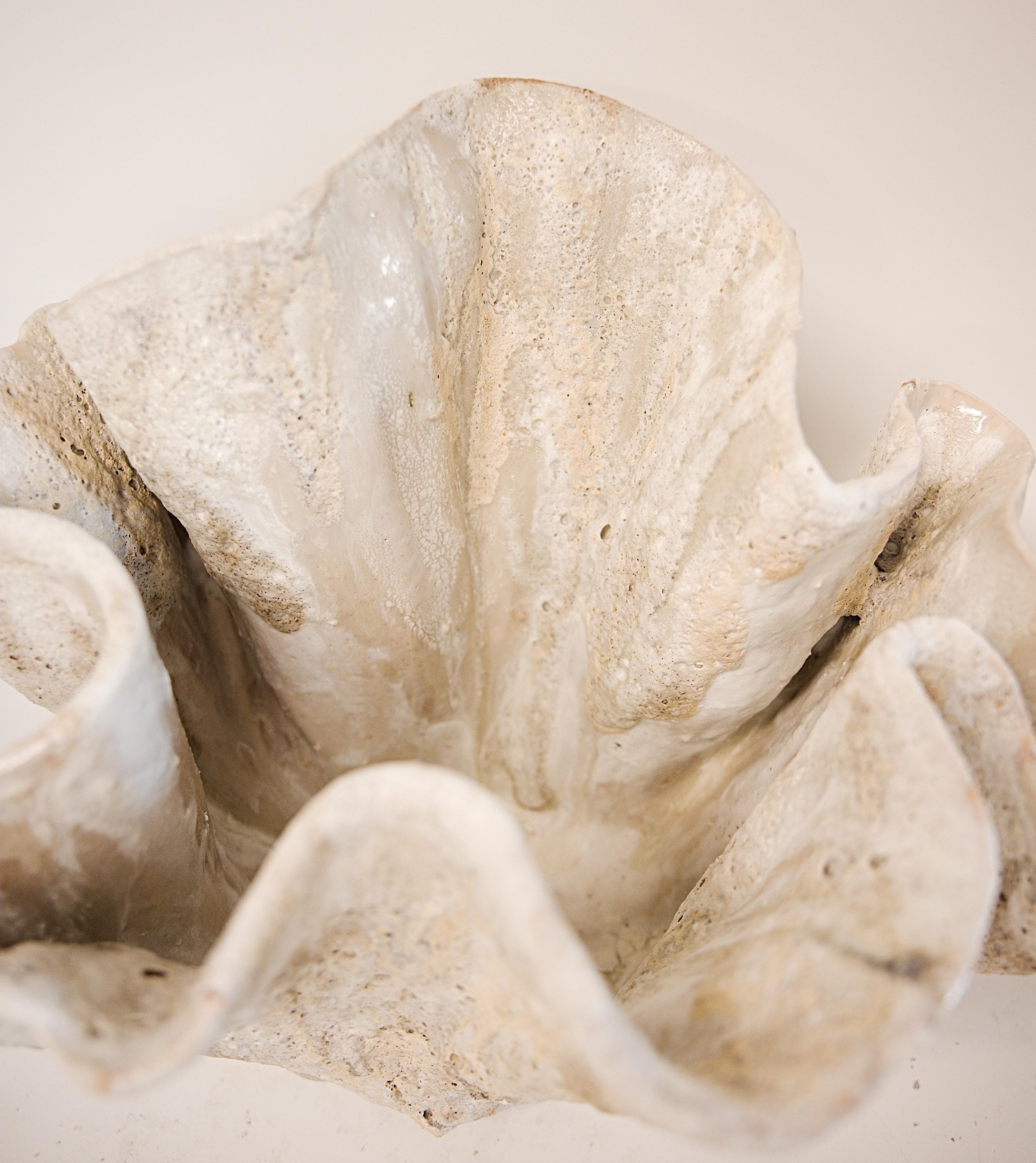 Reef Sculpted Ceramic Bowl free style in White II For Sale 3