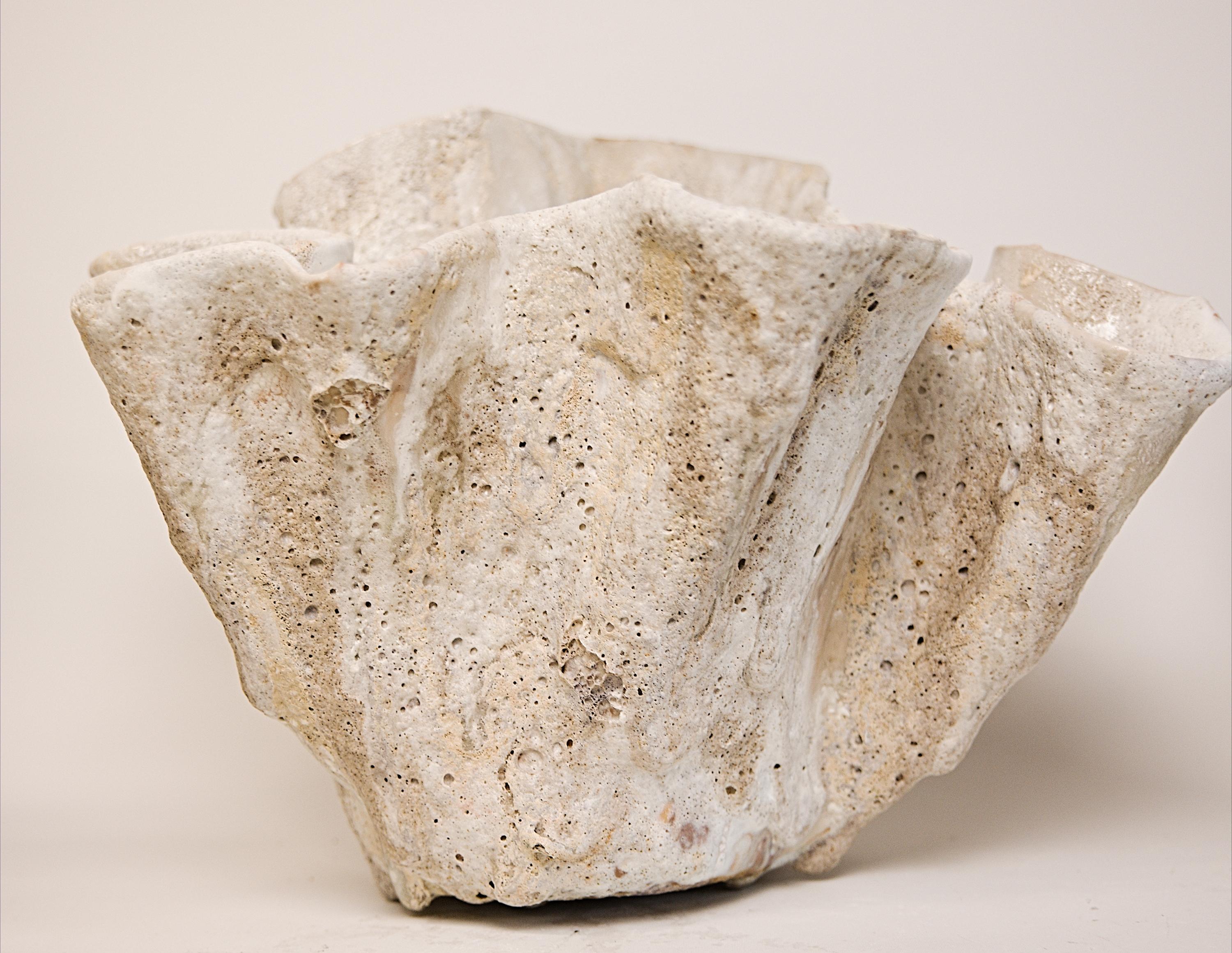 Hand-Crafted Reef Sculpted Ceramic Bowl free style in White II For Sale