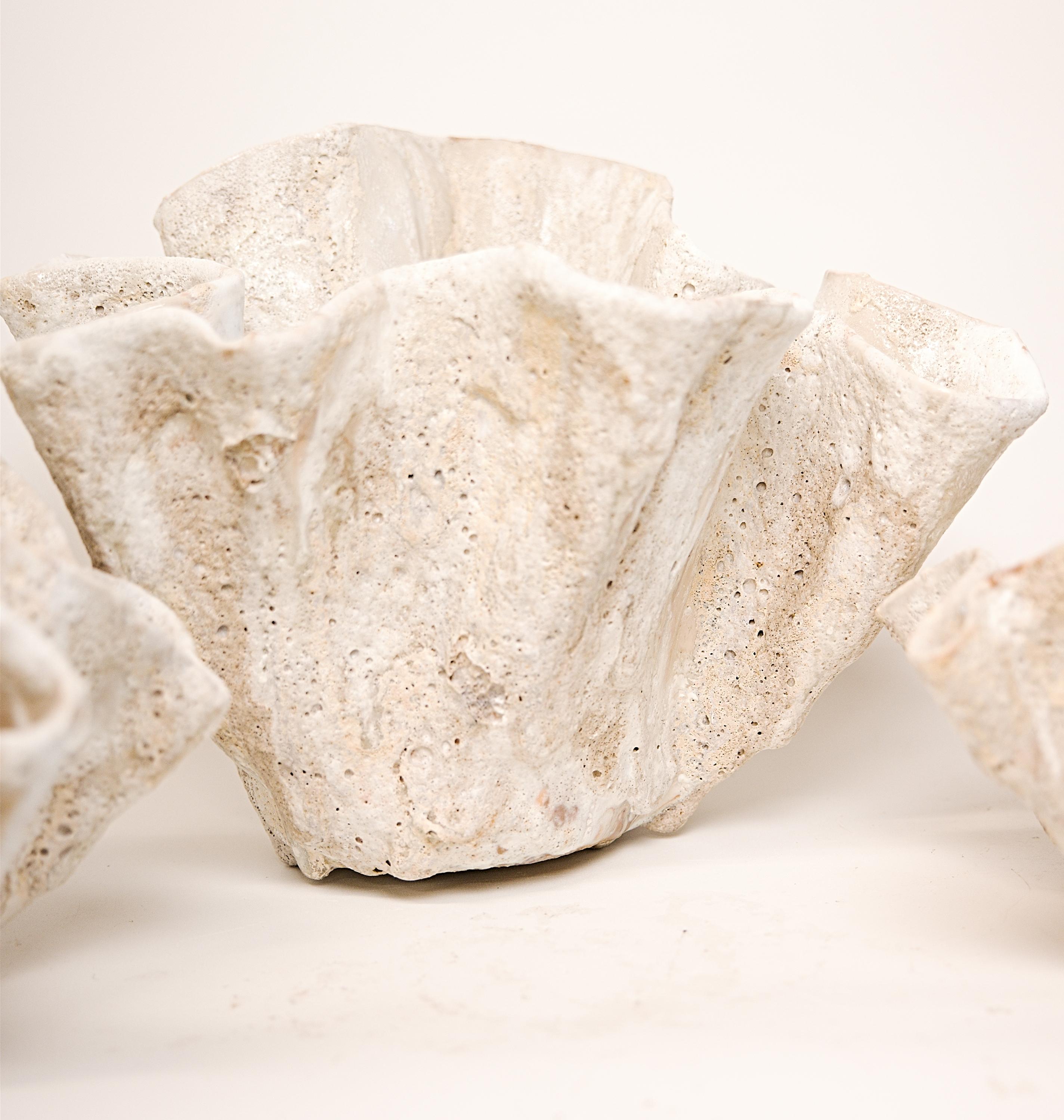 Reef Sculpted Ceramic Bowl free style in White II For Sale 1