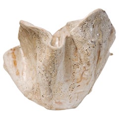 Reef Sculpted Ceramic Bowl free style Textured- Small