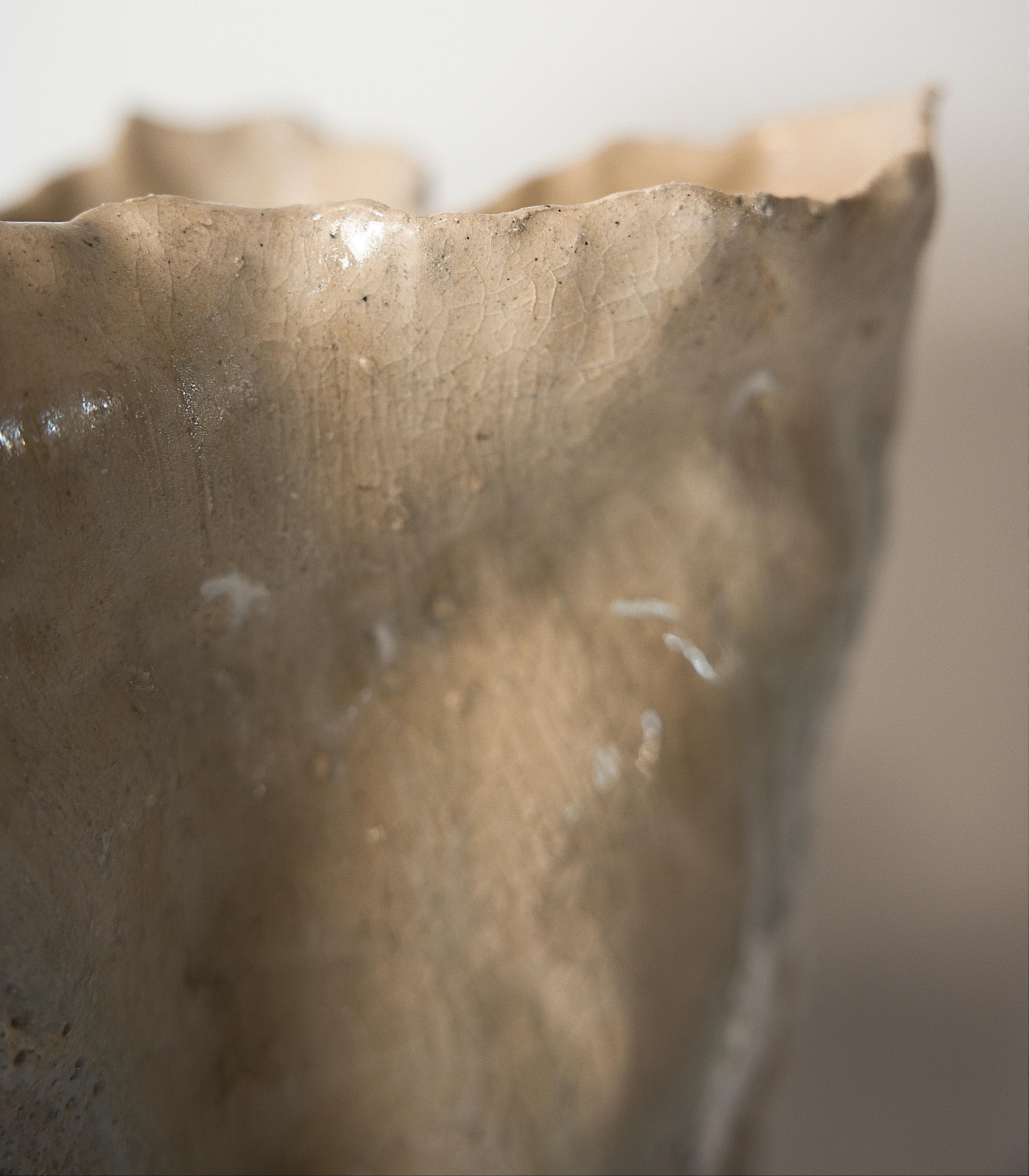 Reef Series Tall Vase- Free Form For Sale 4