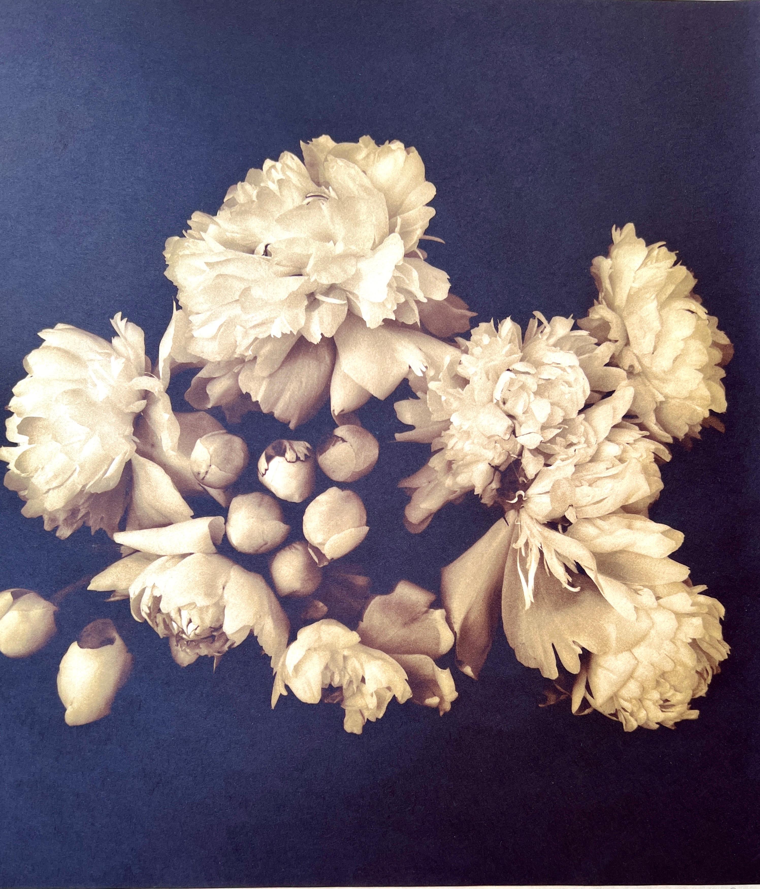 Photography, Life, contemporary photography on Japanese rice paper. For Sale 1
