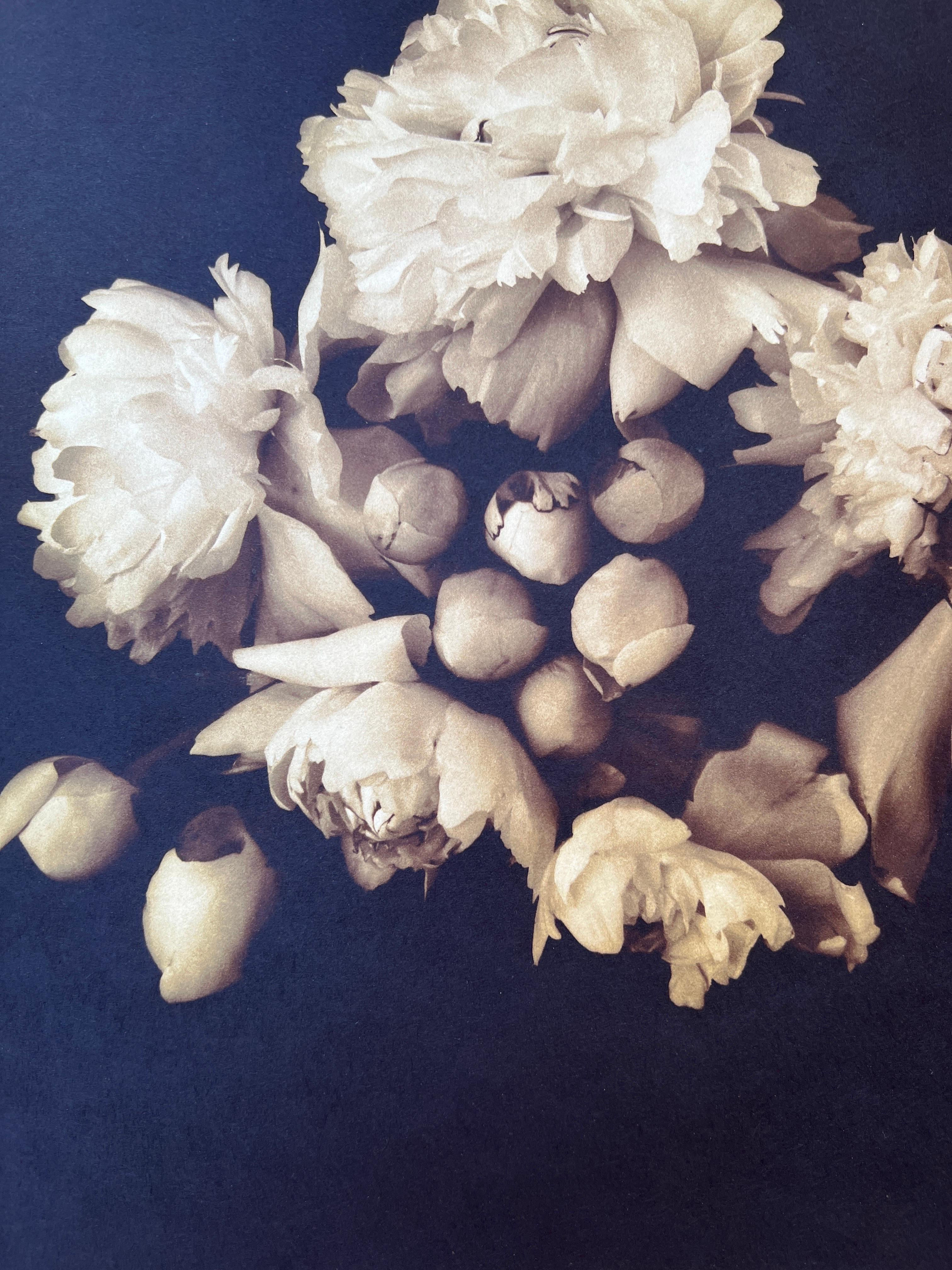 Photography, Life, contemporary photography on Japanese rice paper. For Sale 2