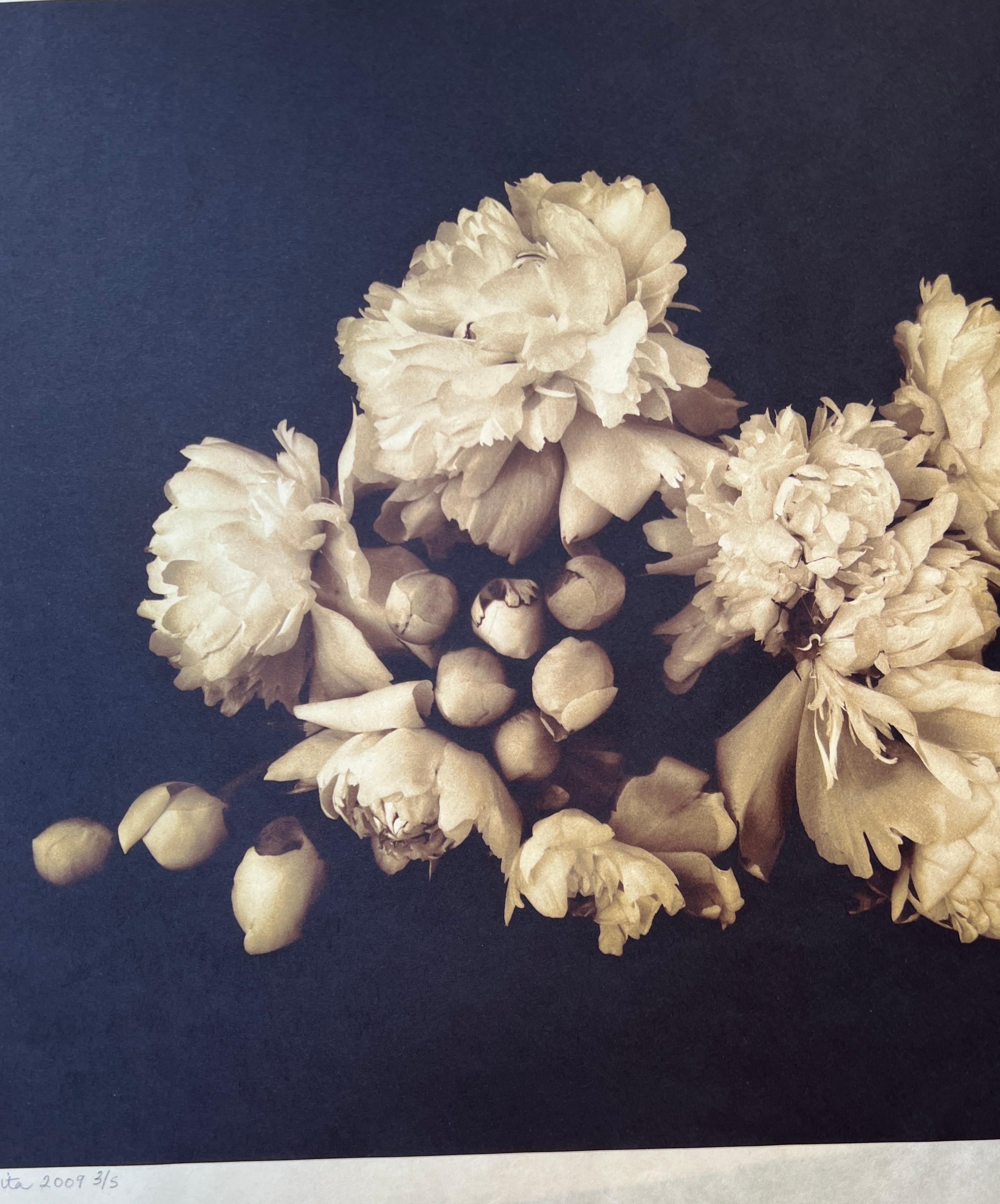 Photography, Life, contemporary photography on Japanese rice paper. For Sale 3