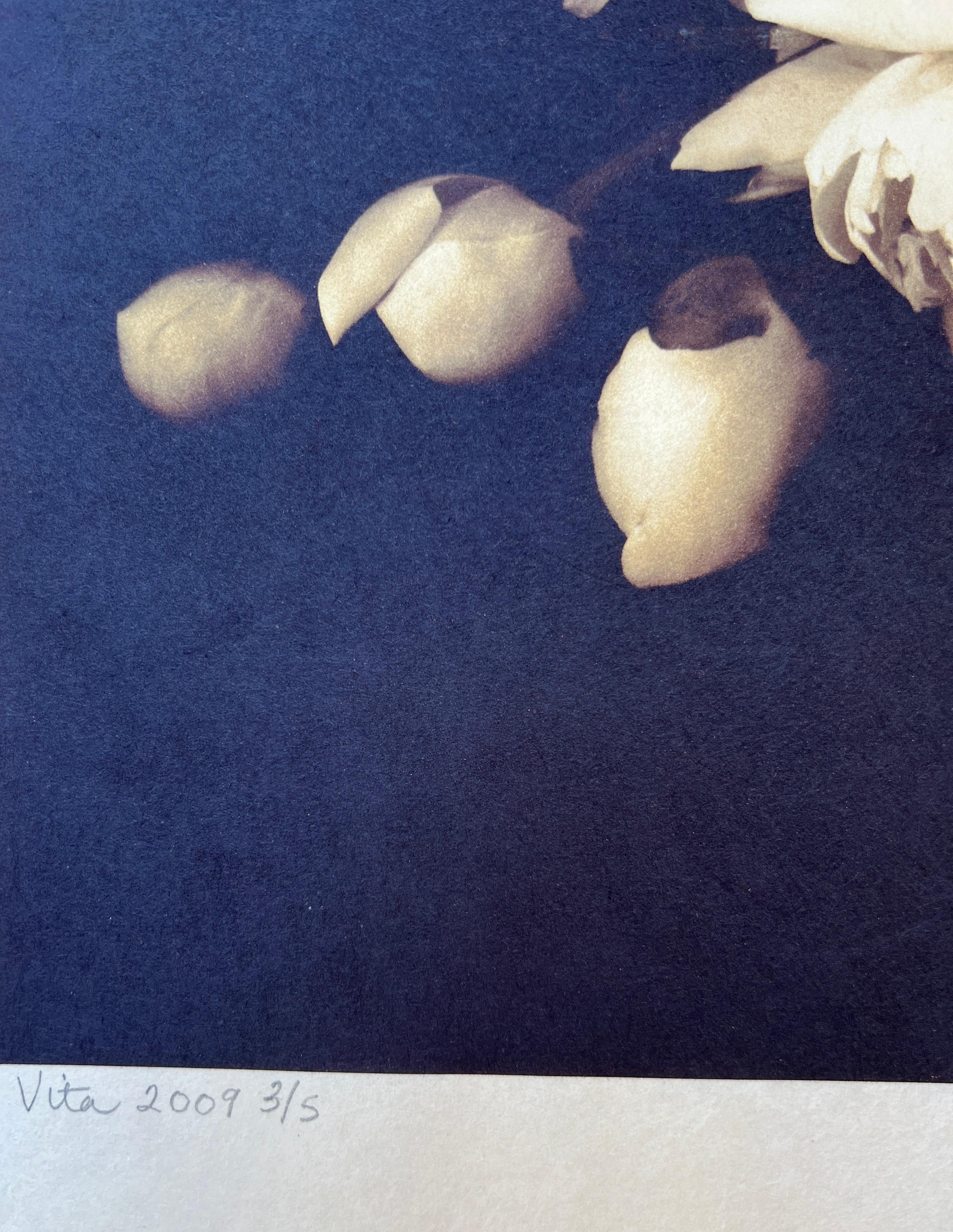 Photography, Life, contemporary photography on Japanese rice paper. For Sale 4