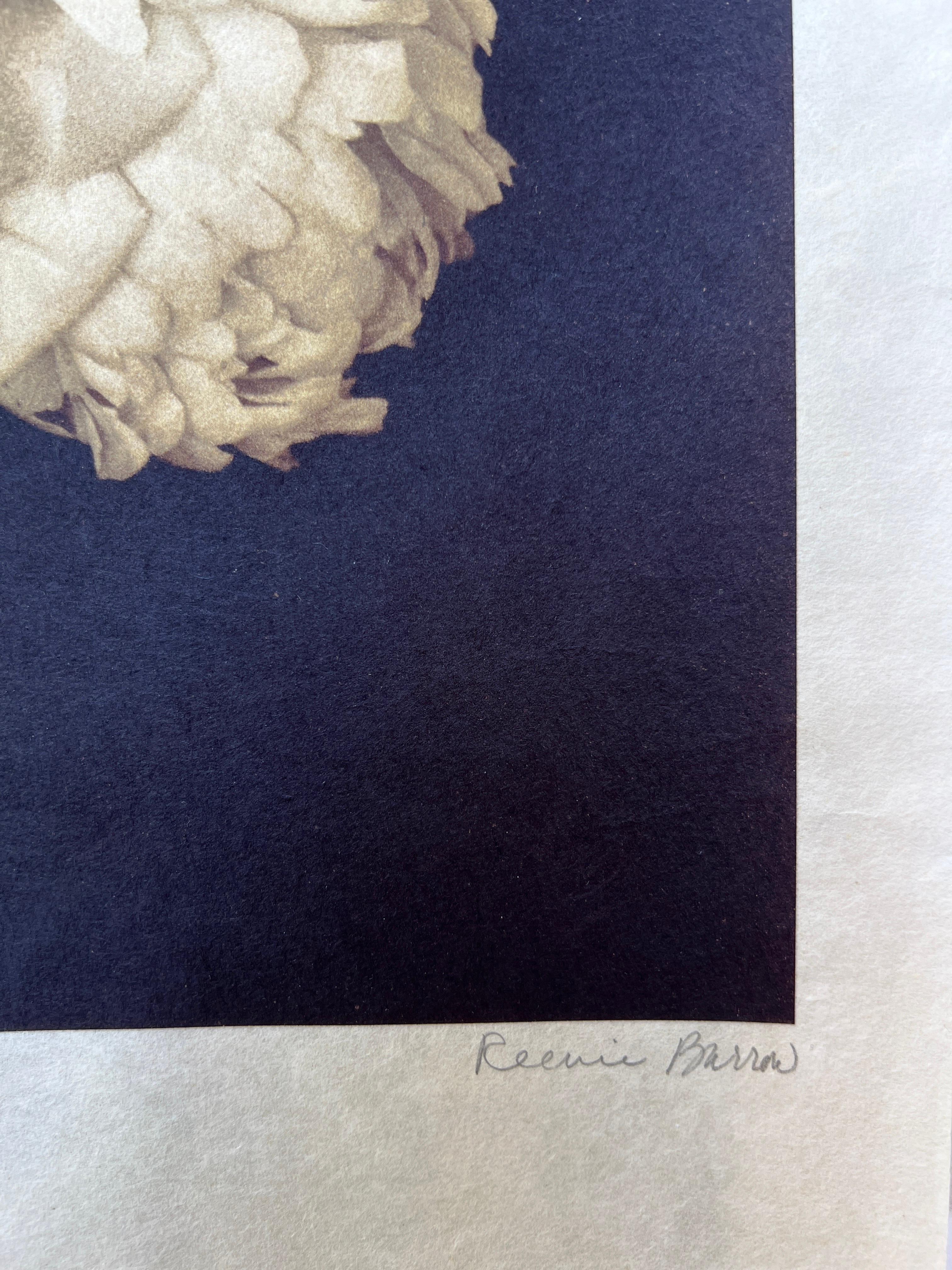 Photography, Life, contemporary photography on Japanese rice paper. For Sale 5