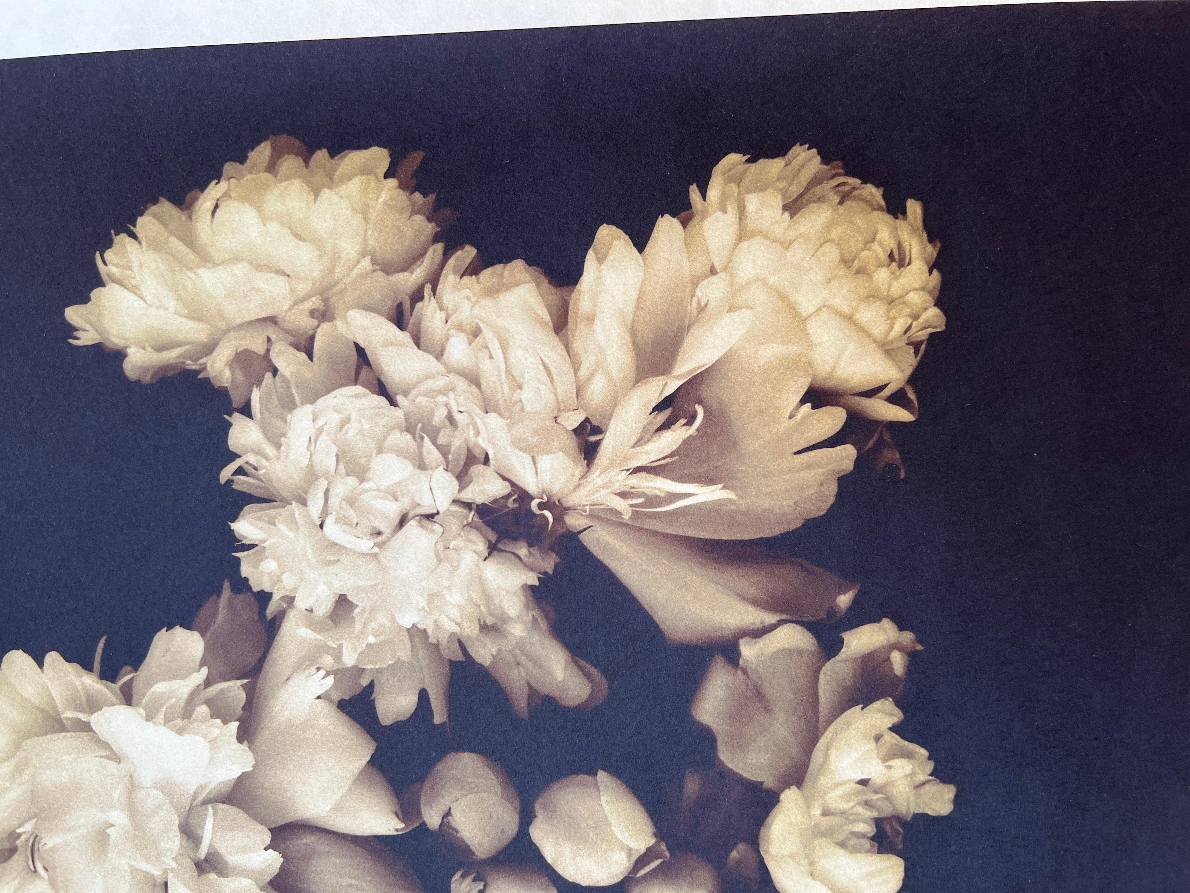 Photography, Life, contemporary photography on Japanese rice paper. For Sale 6