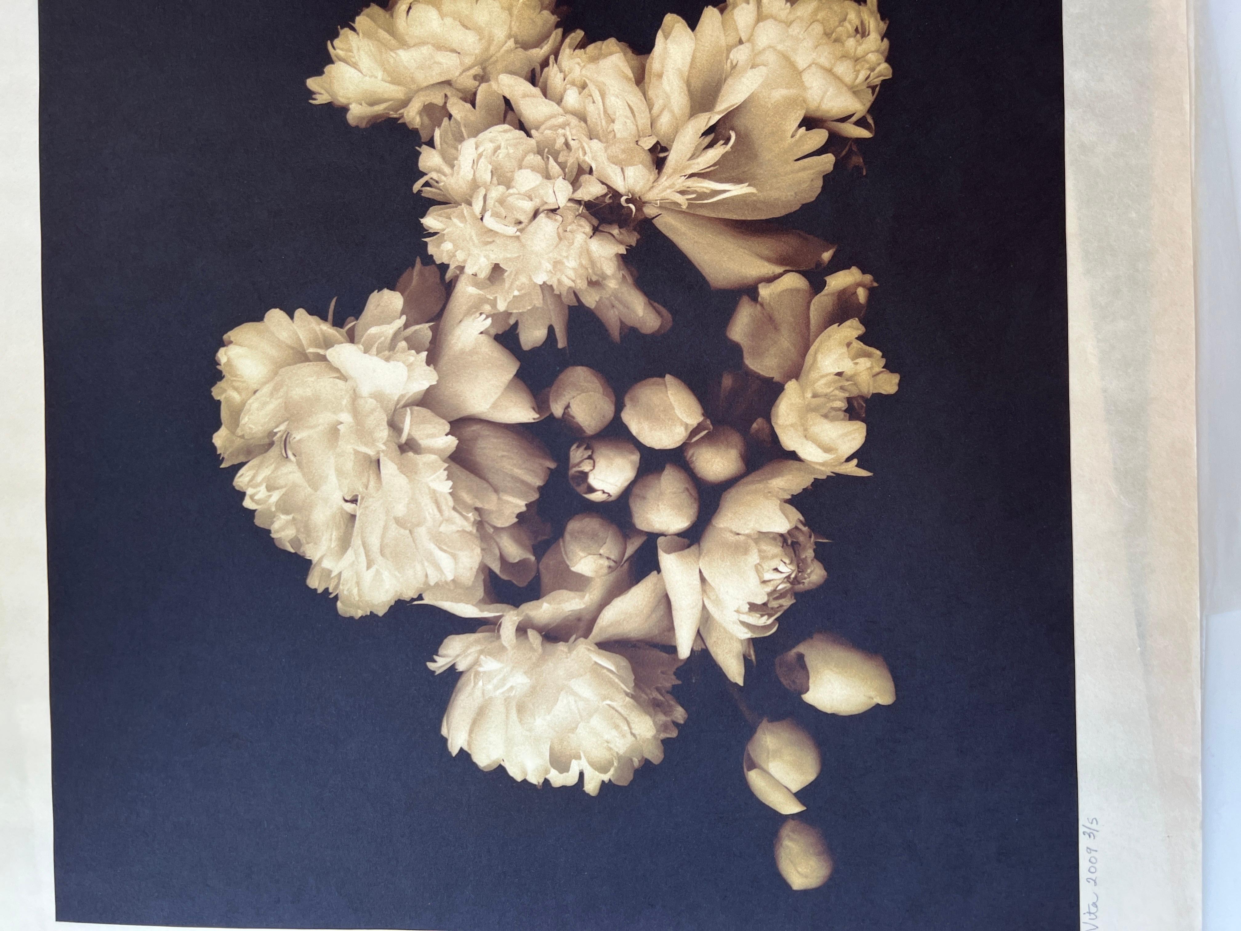 Photography, Life, contemporary photography on Japanese rice paper. For Sale 7