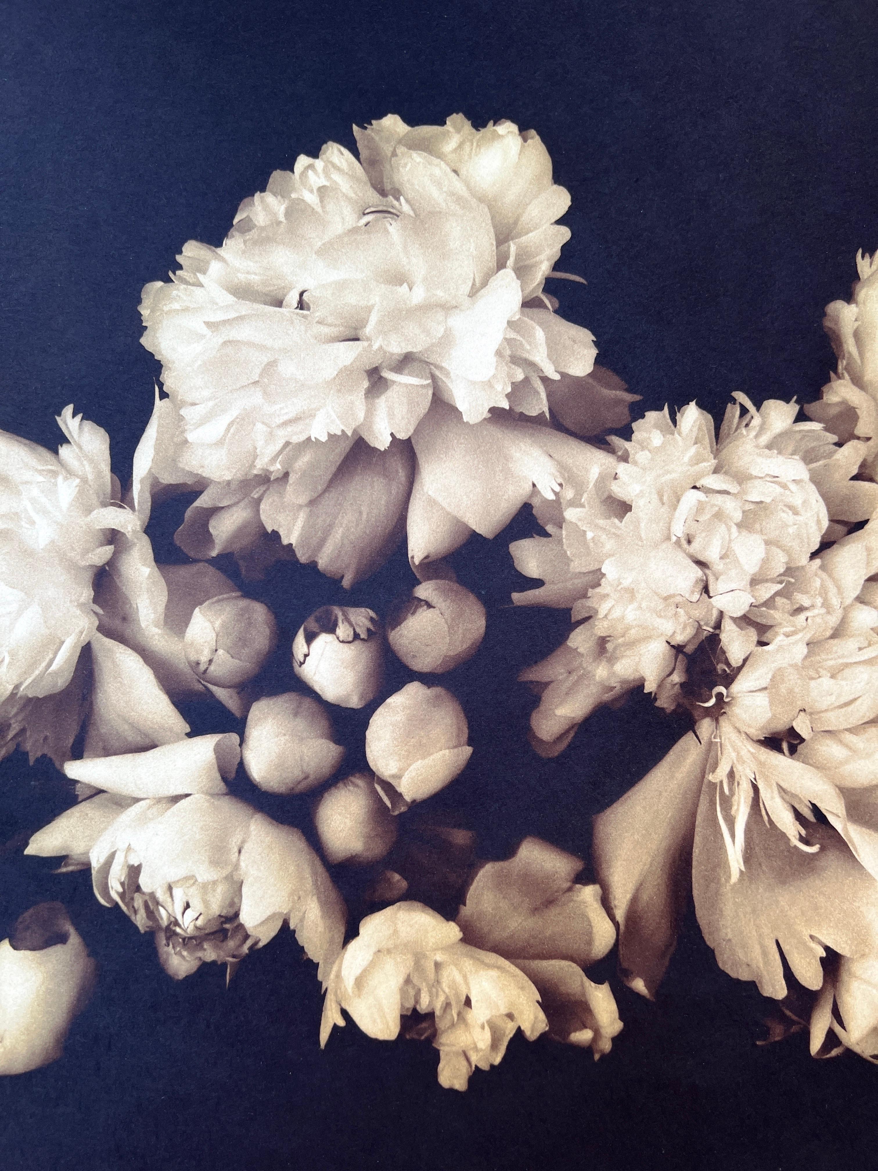Photography, Life, contemporary photography on Japanese rice paper. For Sale 8