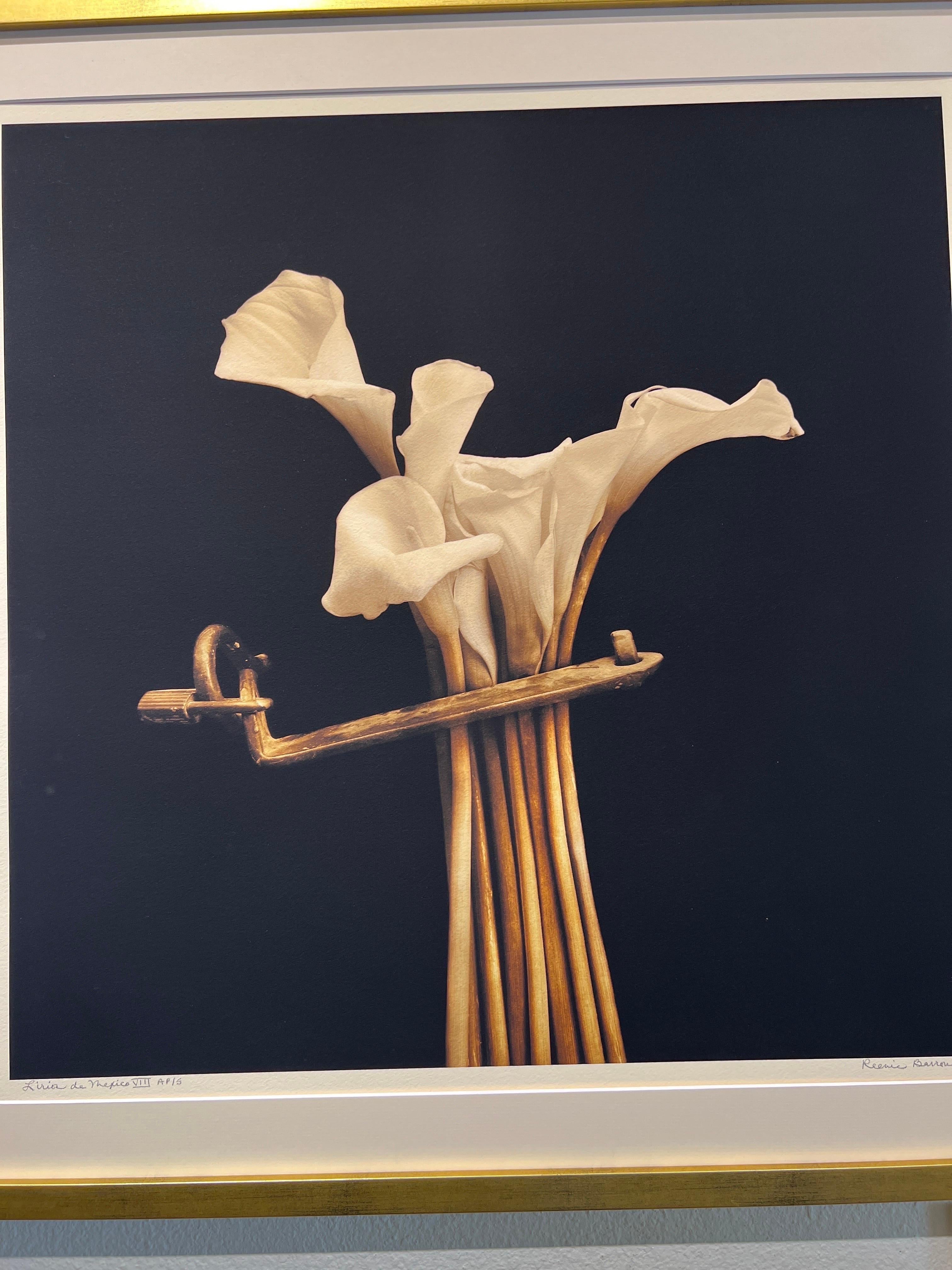 Botanica Photography, Liria de Mexico, Fotografia di fiori, fotografia contemporanea. - Still-Life Photograph Nero di Reenie Barrow