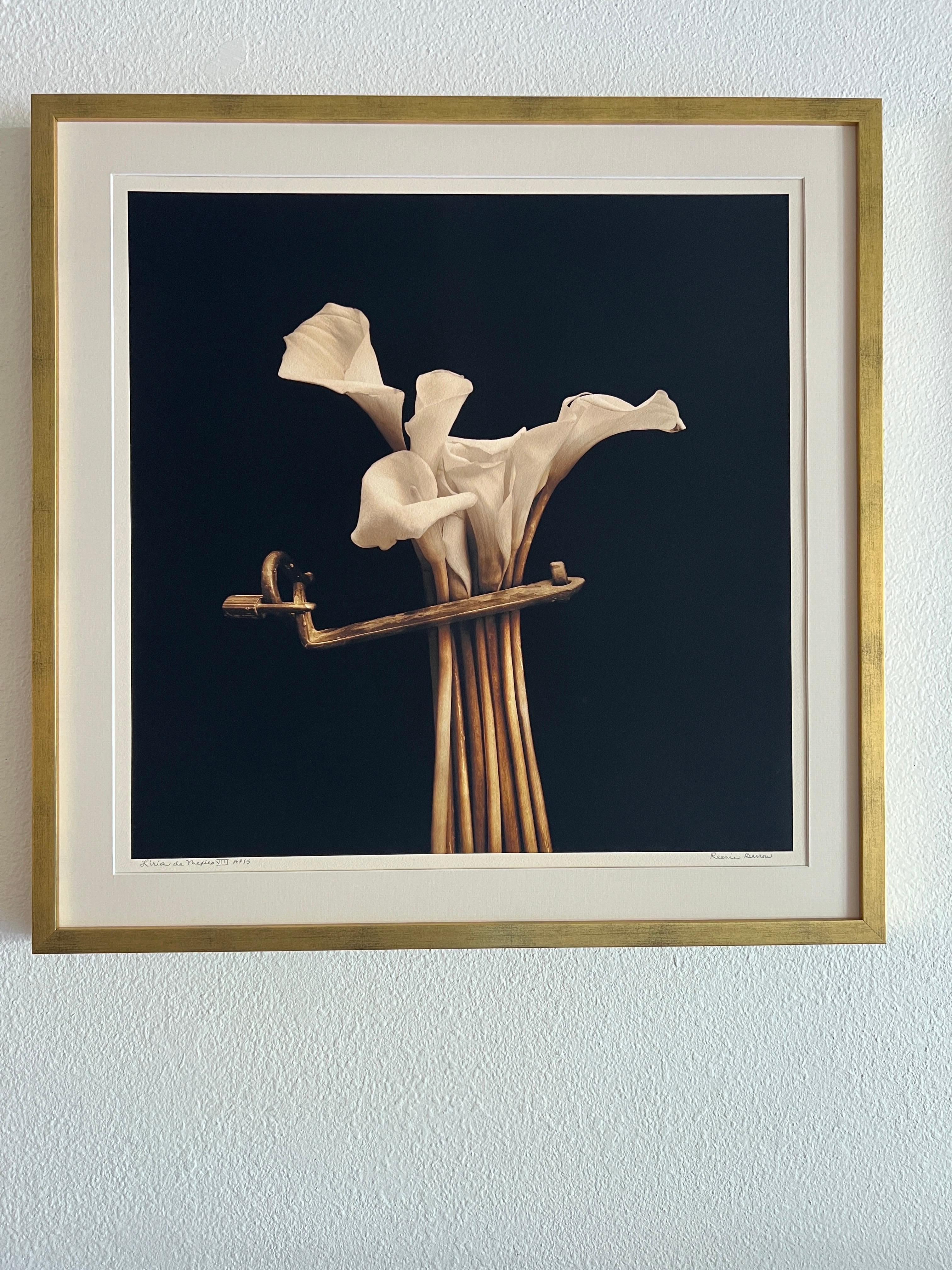 Botanica Photography, Liria de Mexico, Fotografia di fiori, fotografia contemporanea. in vendita 1