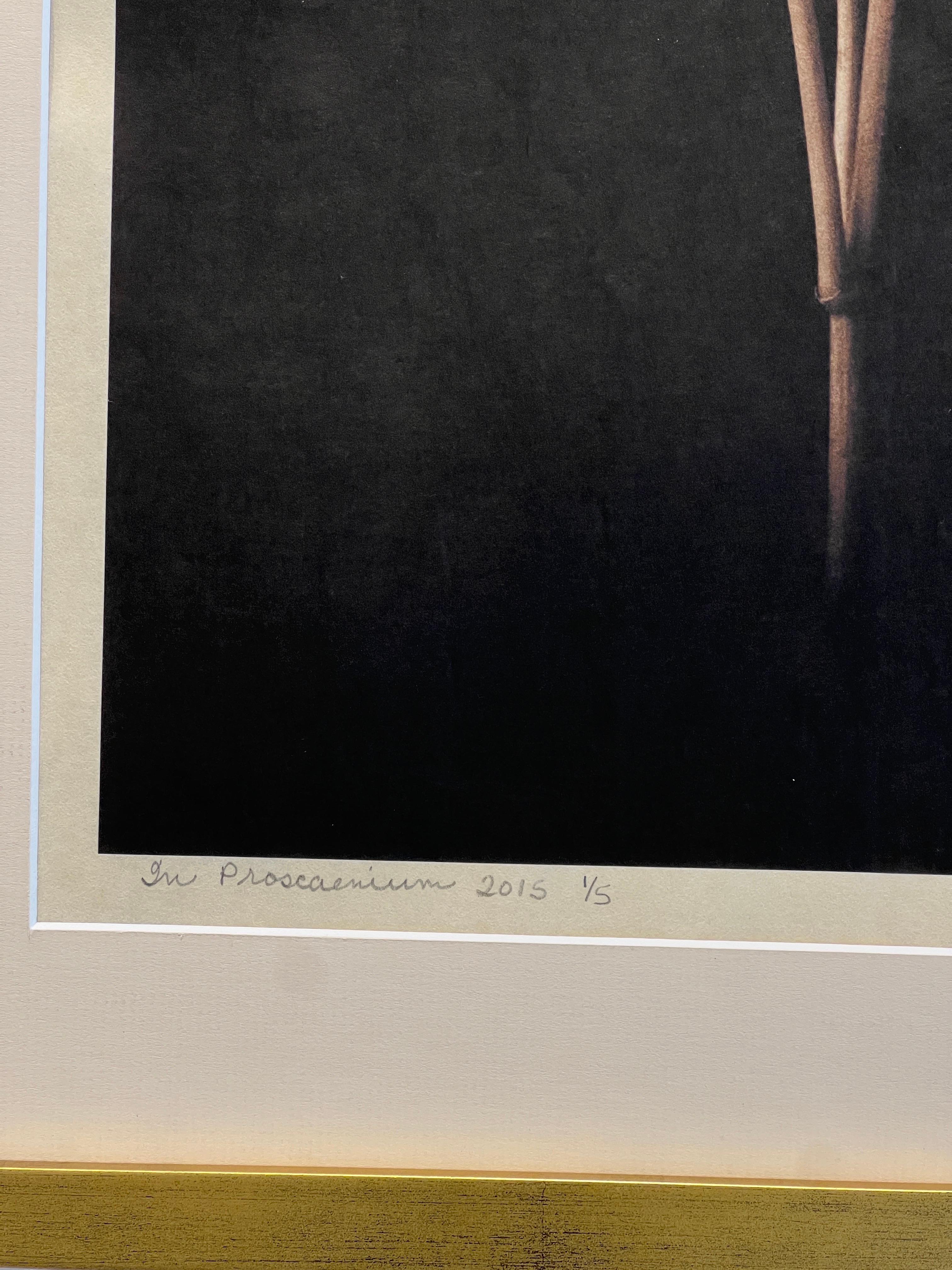 Zeitgenössische Fotografie, Reenie Barrow. im Angebot 8