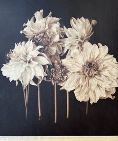 Contemporary photography, Reenie Barrow.