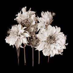 Fotografia contemporanea, Reenie Barrow.